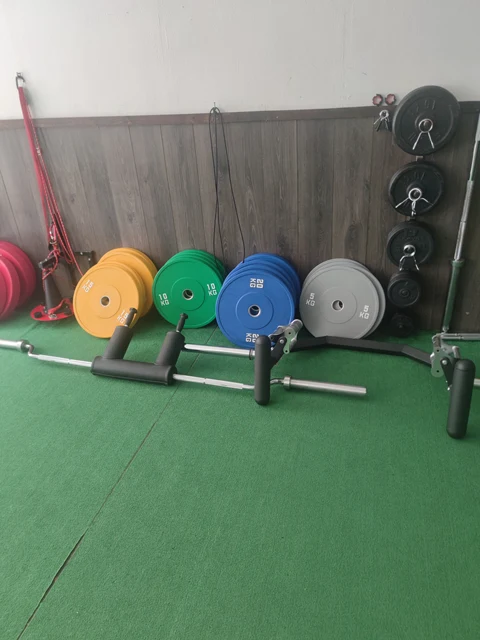 Factory Wholesale Rubber Weight Bumper Plate 50 mm Diameter for Gym Use Free Weights Colorful Glue Weight Plates