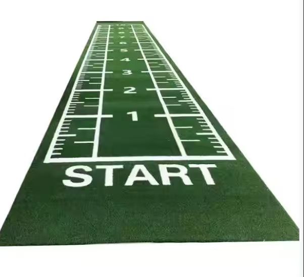 Customized Pattern Digital Track Lawn Scale Functional Patterns Synthetic Artificial Carpet Grass Athletic Turf Mat for Gym