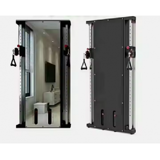Fitness Professional Wall Mounted Trainer Wall Cable Machine Wall Mounted Cable Machine for Sale Gym Equipment