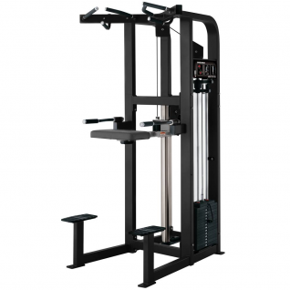 Commercial Pin Loaded Selection Dip/Chin Assisted Station High Quality Chin Pull up Machine
