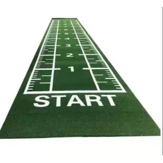 Customized Pattern Digital Track Lawn Scale Functional Patterns Synthetic Artificial Carpet Grass Athletic Turf Mat for Gym